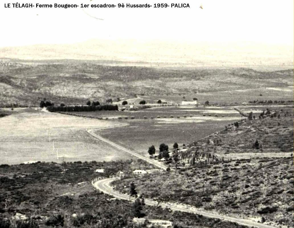 Palica - C- Le Telagh 020.JPG